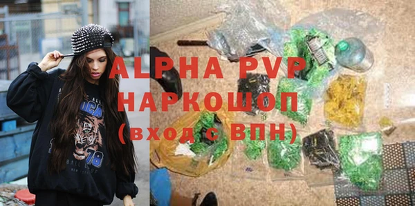 прущий лед Абаза